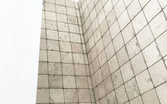 Habitación Aralia en Casa Tezontle