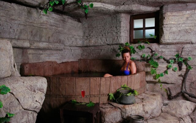 Wine & SPA Complex Starossel