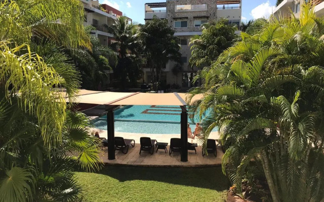 Ipana Dream Downtown Playa del Carmen