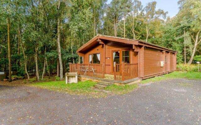 Sherwood Castle Holiday Forest