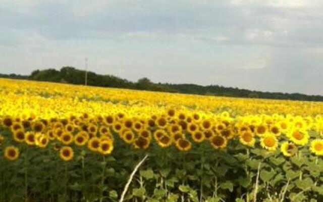 La Chouette Qui Chante