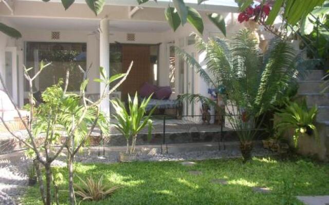 Shady Grove Healing Centre and Homestay