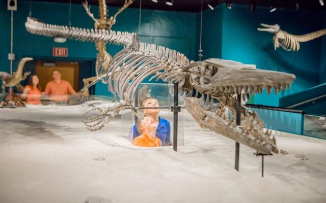 Holiday Inn Express Statesboro by IHG