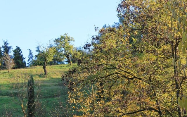 BoscoBo Relax&Natura