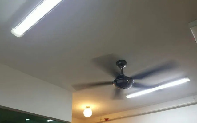 Kl Guesthouse Scott Garden