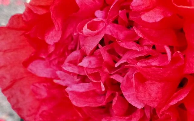 The Crays Accommodation