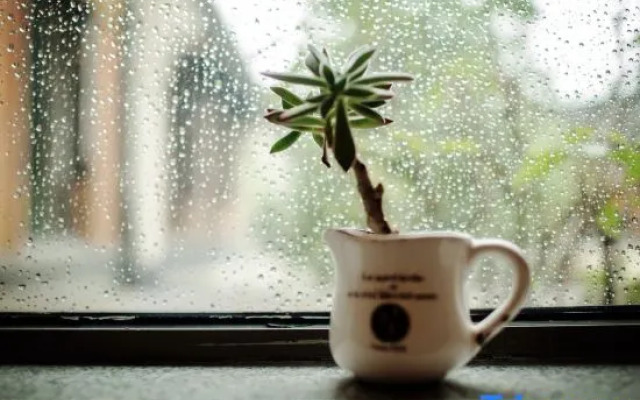 Xitang Manyue Hotel (Songzilai Fengqiao Branch)