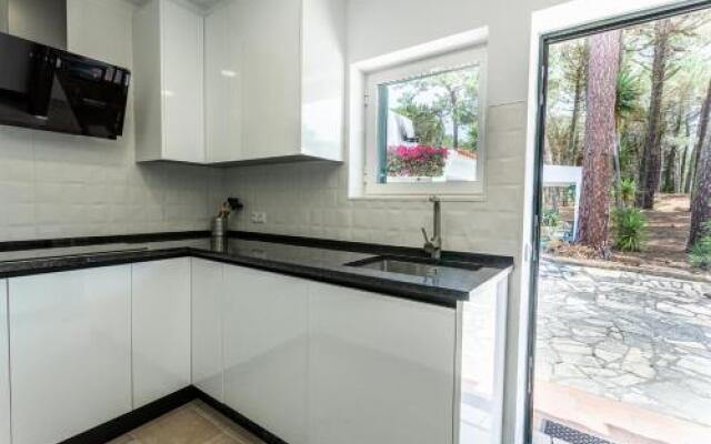 Ocean, Pines and Mountain