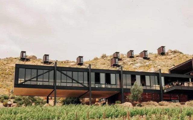 Encuentro Guadalupe