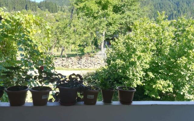 Txilaziri Guest House