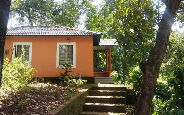 Jungle Valley Resort