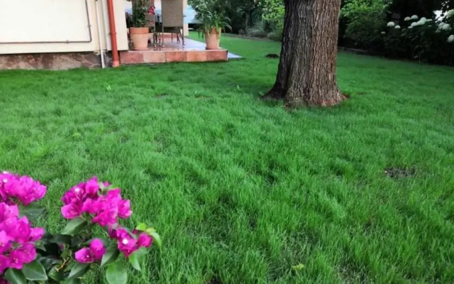 Eleonóra Villa