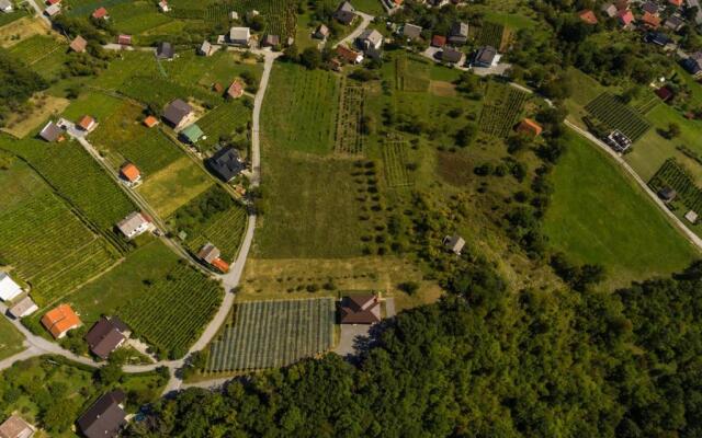 Apartmani Petra, Tea i Joža