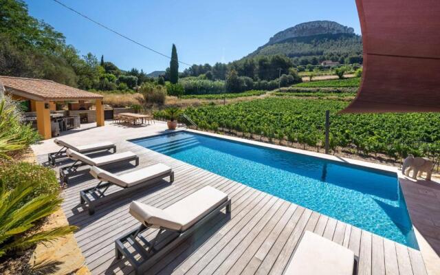 Côté vignes cassis