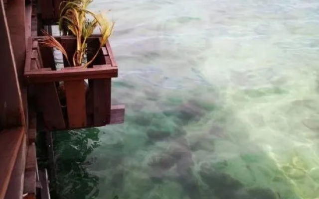 Coco Scuba Inn Semporna 2