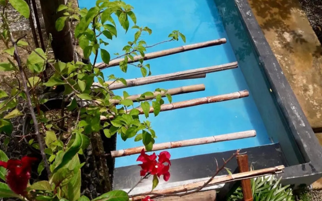 Gypsy Garden Guesthouse