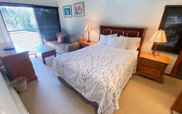 #303 Vail International