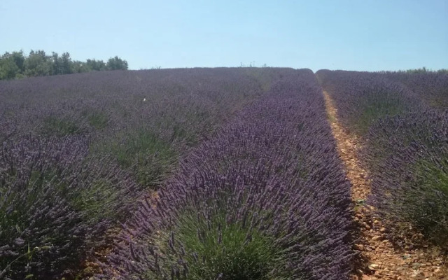 Résidence les Cades