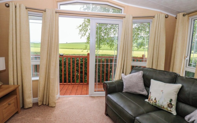 12 Field View