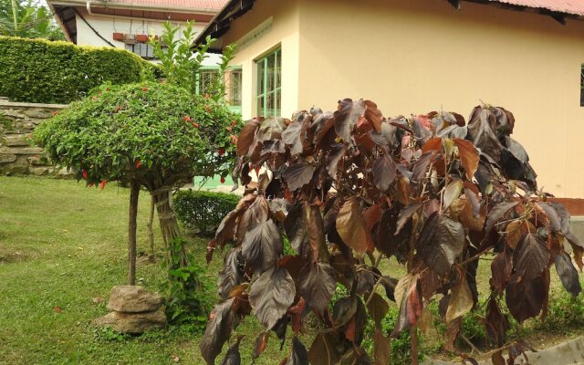 Green Village Apartments