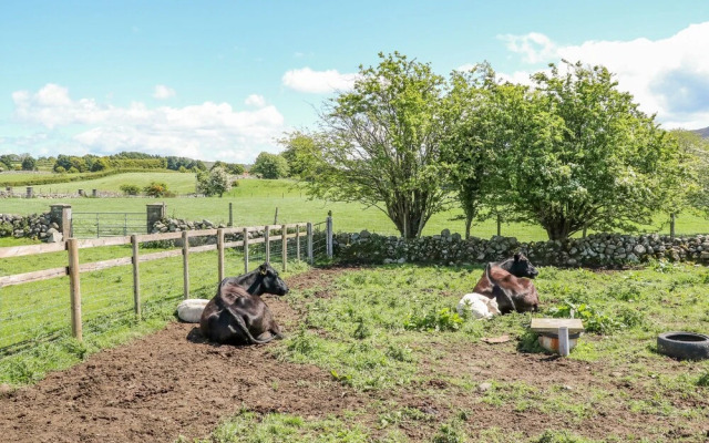 Willow Tree Farm House
