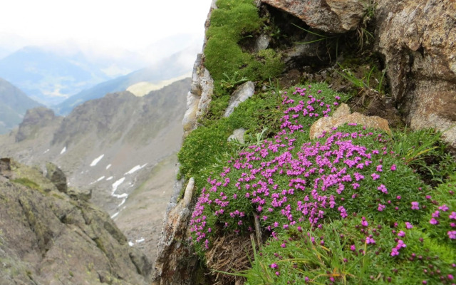 Hotel Jennys Schlössl