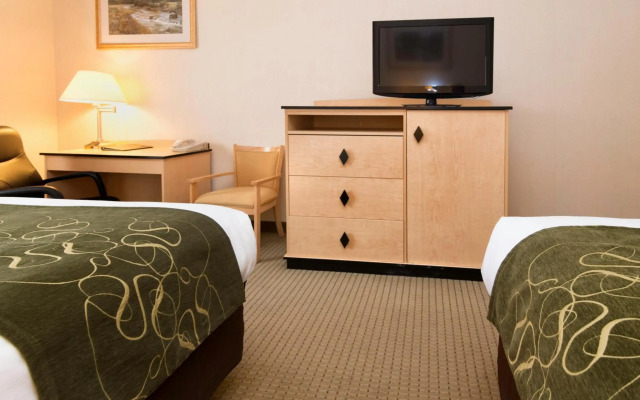 Comfort Inn & Suites Airport