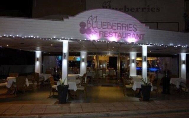 Blueberries Villa