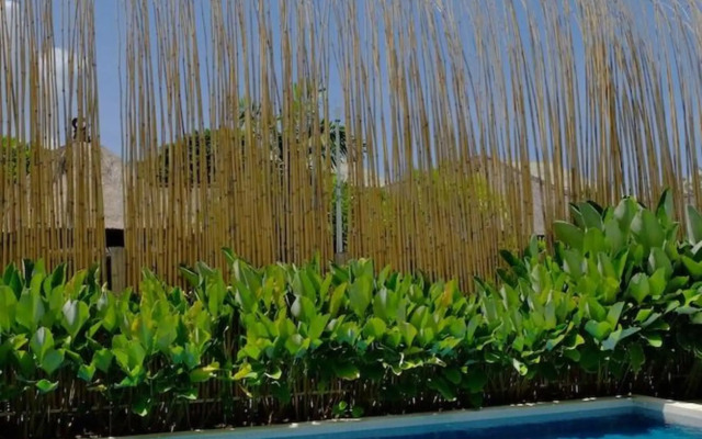 Tevana