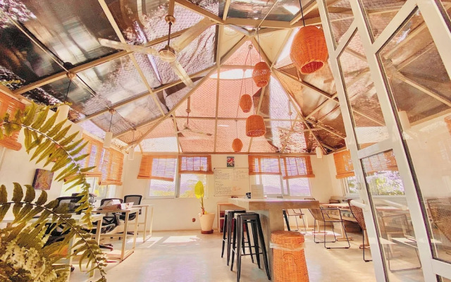 Hotel Perro Surfero Todos Santos