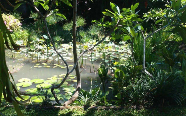 Puri Dalem Cottage Ubud