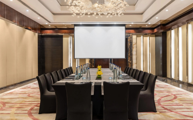 Radisson Blu Plaza Delhi Airport