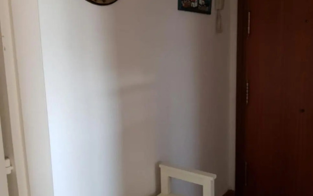 Pura vida en Sevilla