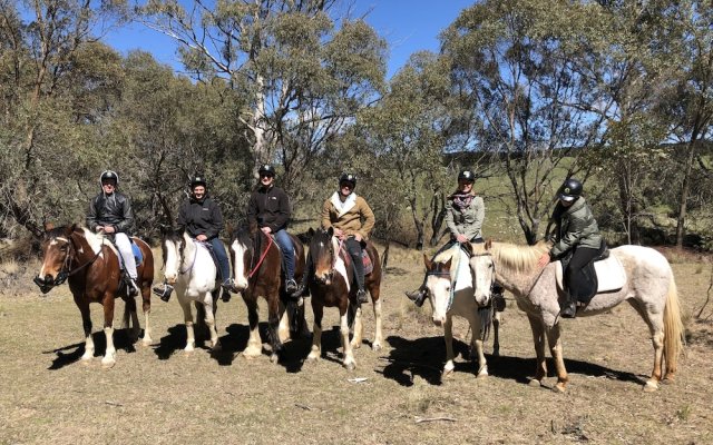 High Country Trail Rides & Farm Stay