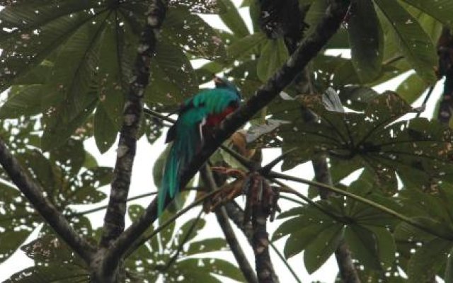 Ranchitos del Quetzal - Parque Ecológico Gucumatz