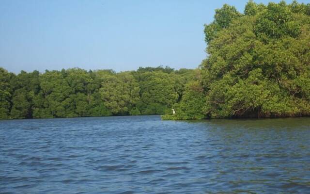 Seagulls Beach & Garden Cabanas