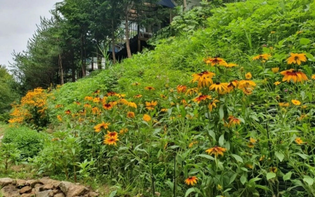 Yecheon Mulmalgeun Sangol Pension