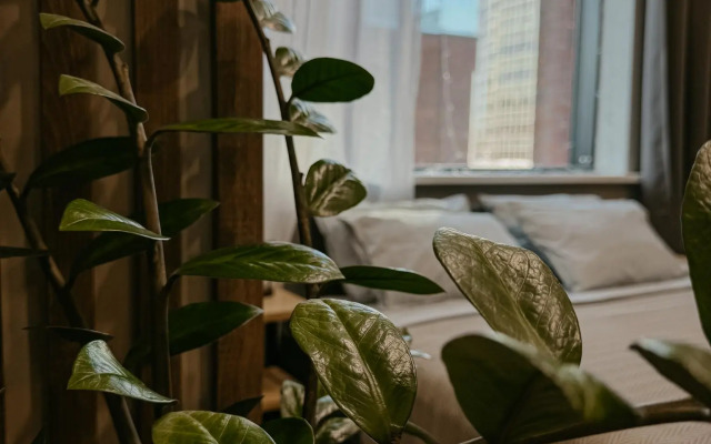 Апартаменты New York (Нью Йорк) на улице Радищева 41