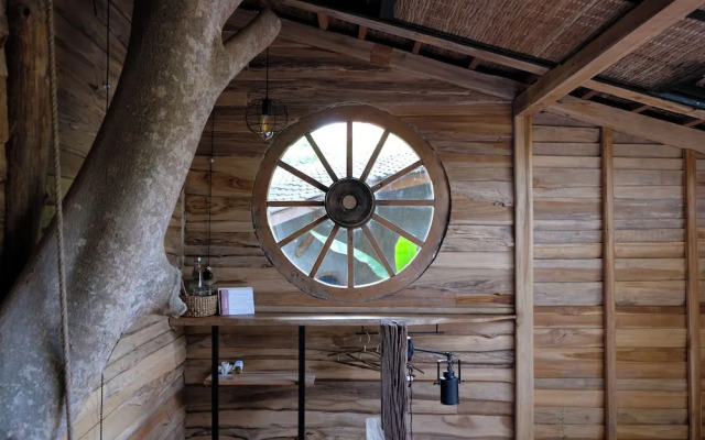 Roots Tree House