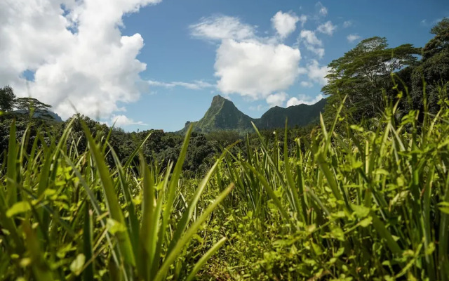 Moorea - The Serenity Creek spa