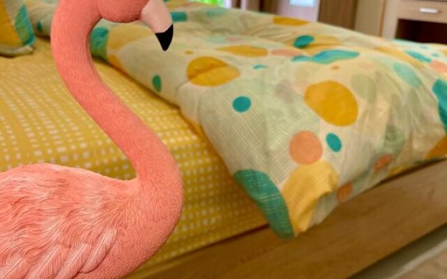 فلامينجو Flamingo