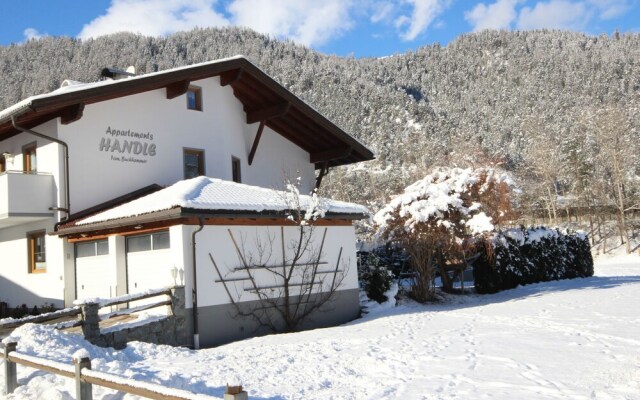 Handle Ried im Oberinntal