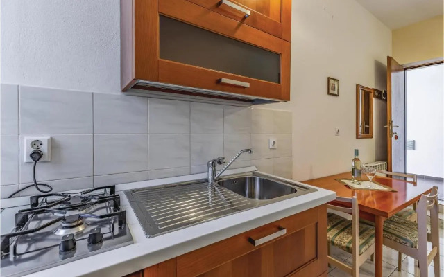 Apartment Cerova III