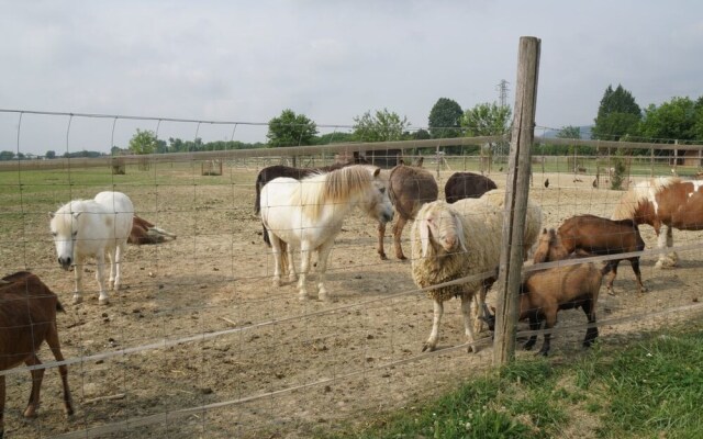 Palazzo Rosso Farm