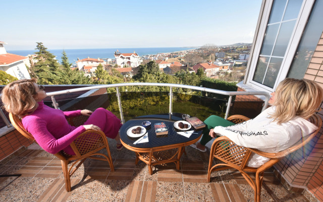 Treekos Suite
