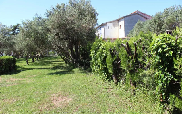 Pierre's Place
