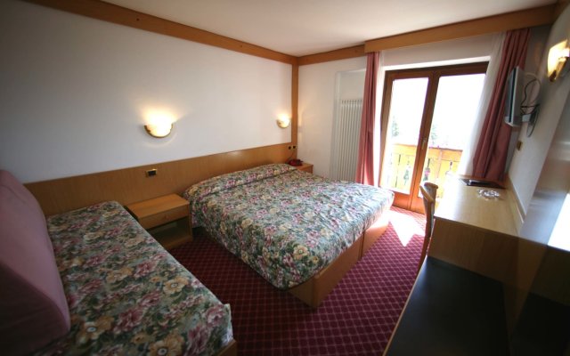 Alpen Hotel Vidi