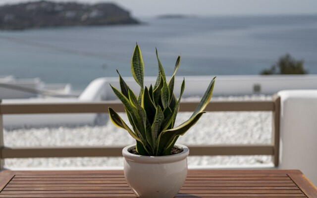 Lithos by Spyros & Flora