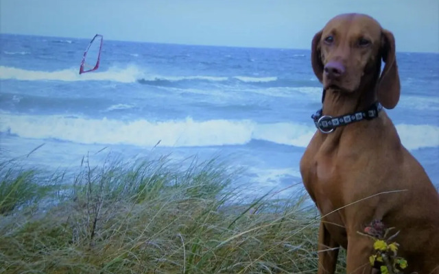 Sea View E&J Paul Comfortable Vacation Home