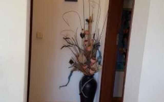 Apartamento A11